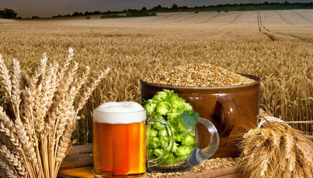 Tour de la cerveza belga por Bruselas - Foto 3