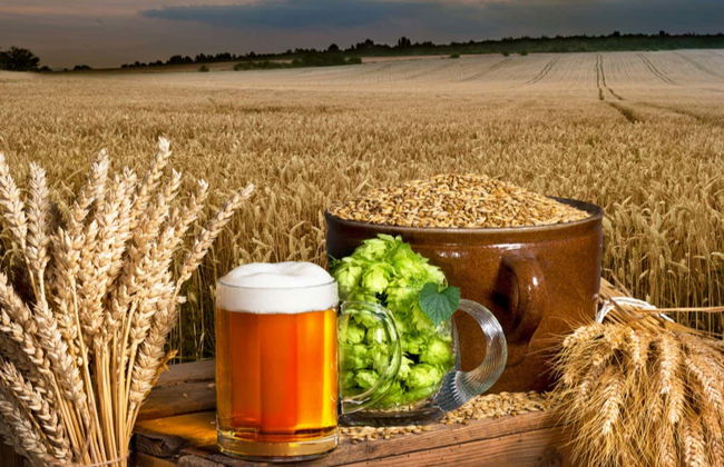 Tour da cerveja belga - Foto 3