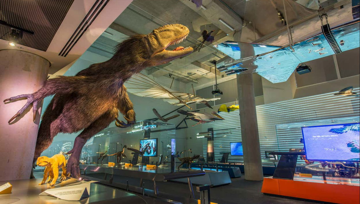 Miami Museum of Science Tickets - Photo 1