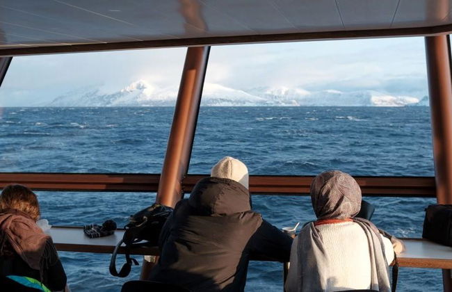 Crucero por el fiordo ártico de Tromsø - Foto 3