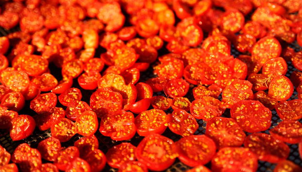 Ingresso do Museu do Tomate com audioguia - Foto 3