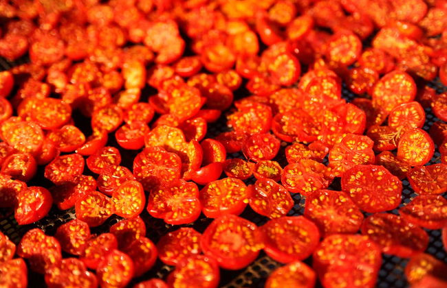 Billet pour le musée de la Tomate avec audioguide - Photo 3