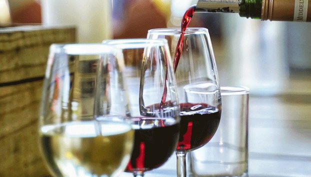 Balade en trottinette tout-terrain à Stellenbosch - Photo 3