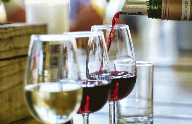 Balade en trottinette tout-terrain à Stellenbosch - Photo 3