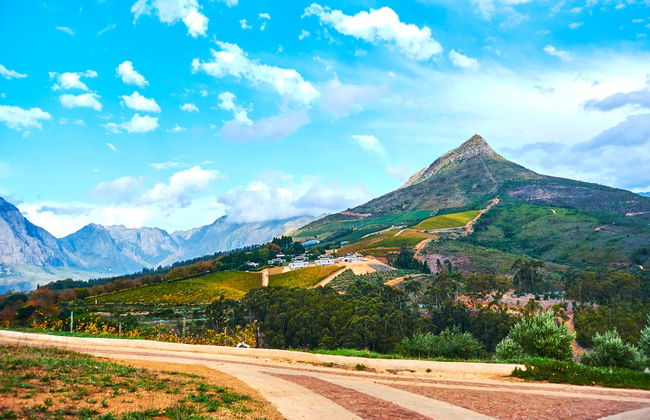 Balade en trottinette tout-terrain à Stellenbosch - Photo 6