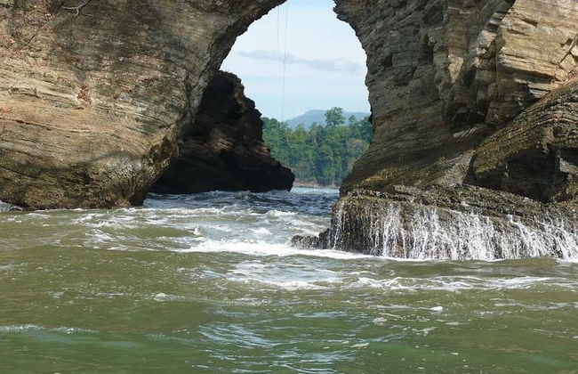 Avistamiento de cetáceos en el Parque Nacional Marino Ballena - Foto 7