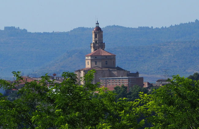 Borjas Blancas Guided Tour - Photo 7