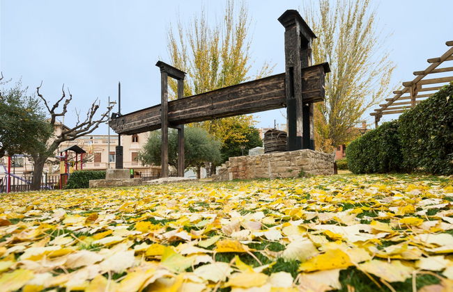 Borjas Blancas Guided Tour - Photo 3