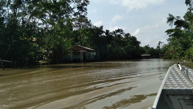 Combú Island Boat Ride - Photo 3