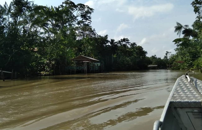 Passeio de barco pela ilha do Combú - Foto 1