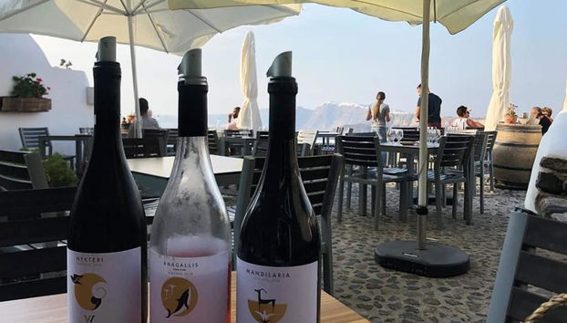 Pyrgos, azienda vinicola e Oia - Tour privato - Foto 5