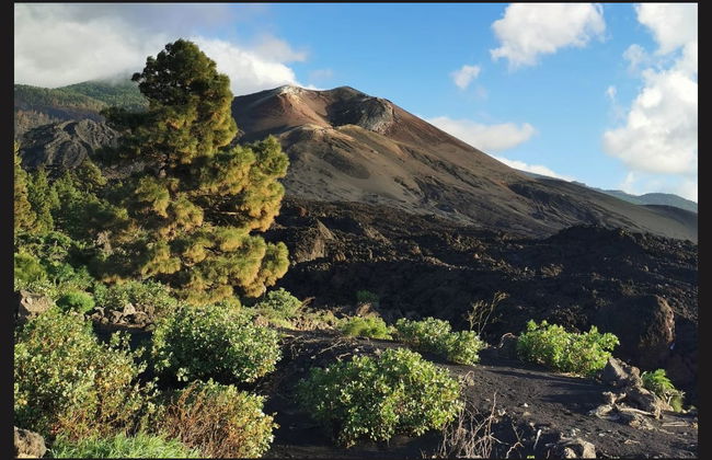 Tajogaite Volcano Day Trip - Photo 5