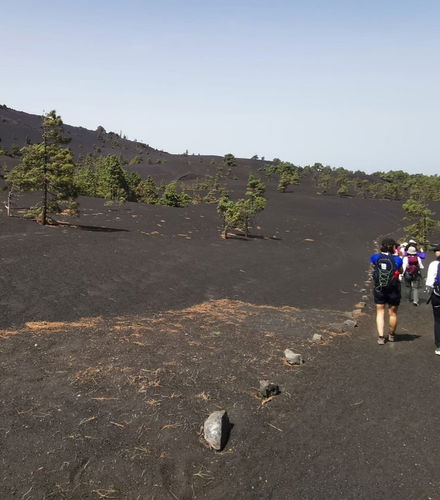 Foto de Excursión al volcán Tajogaite