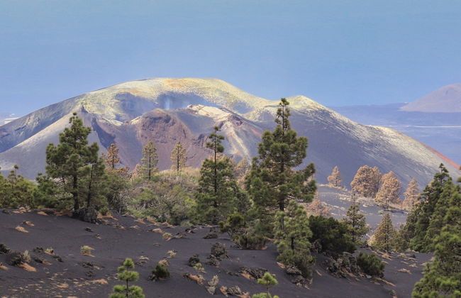 Tajogaite Volcano Day Trip - Photo 7