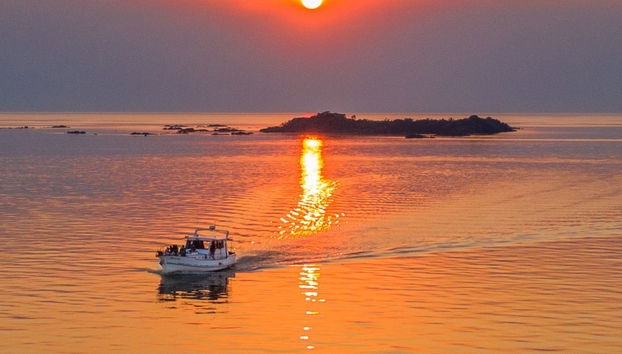 Paseo en barco por el río de La Plata - Foto 5