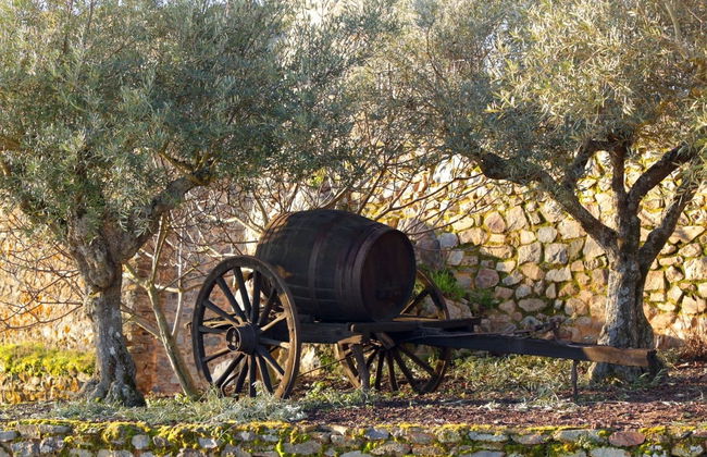 Excursión a Almeida, Castelo Mendo y Castelo Rodrigo - Foto 3