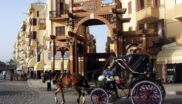 Luxor Tour by Horse-Drawn Carriage - Photo 2