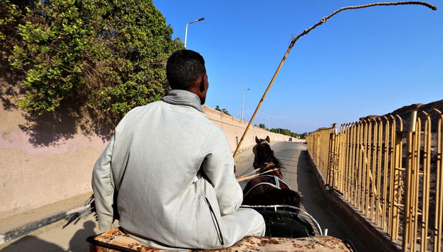 Luxor Tour by Horse-Drawn Carriage - Photo 3