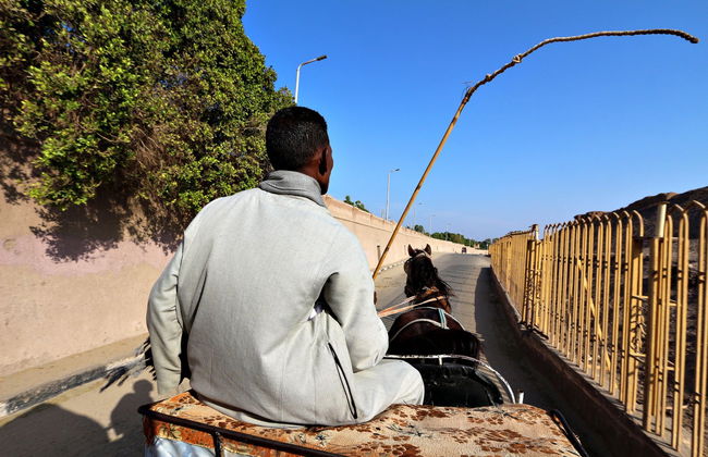 Paseo en calesa por Lúxor - Foto 3
