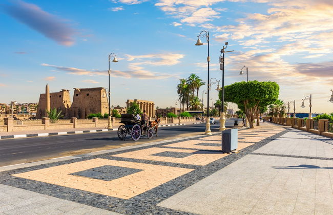 Paseo en calesa por Lúxor - Foto 1