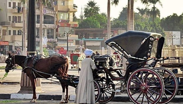 Luxor Tour by Horse-Drawn Carriage - Photo 4