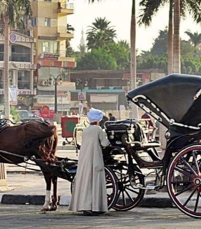 Foto de Paseo en calesa por Lúxor