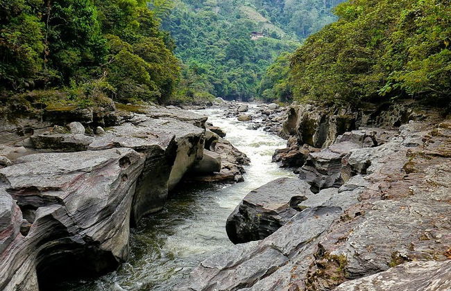 Excursión al Parque Arqueológico de San Agustín - Foto 4