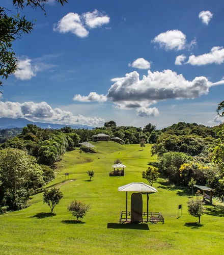 Foto de Excursión al Parque Arqueológico de San Agustín