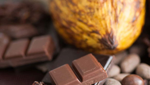 San Rafael Cocoa Tour - Photo 3