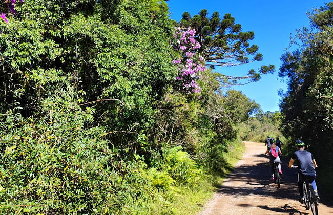 Tour en bicicleta por el cañón Fortaleza - Foto 3