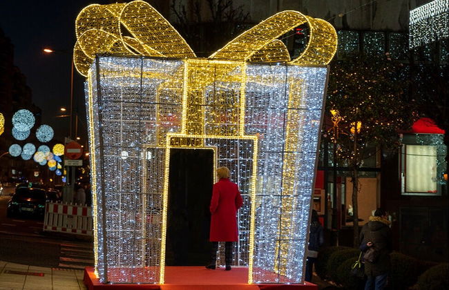 Tour por Pontevedra + Luzes de Natal de Vigo - Foto 5