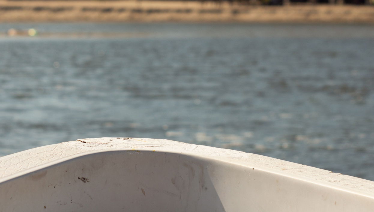 Excursion to Tres Palos Lagoon & Crocodile Reserve