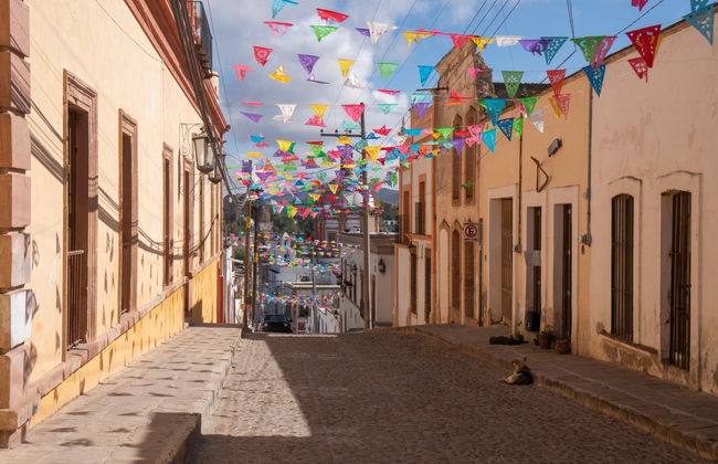 Private Tour to Mineral de Pozos - Photo 4