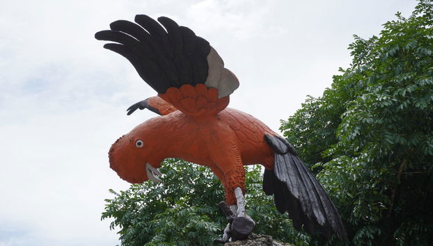 Day Trip to Pozuzo - Foto 3