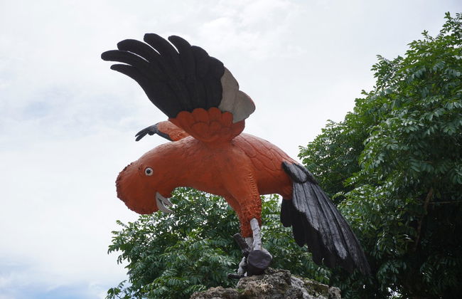 Day Trip to Pozuzo - Photo 3