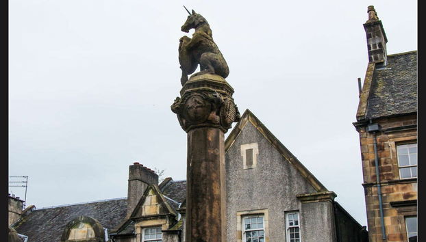 Excursión a Stirling en tren - Photo 4