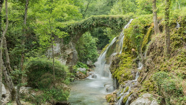 Hair of Venus Waterfalls Excursion - Foto 2