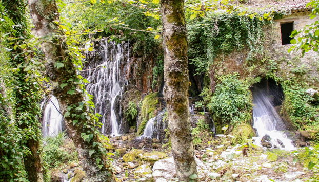 Hair of Venus Waterfalls Excursion - Foto 5