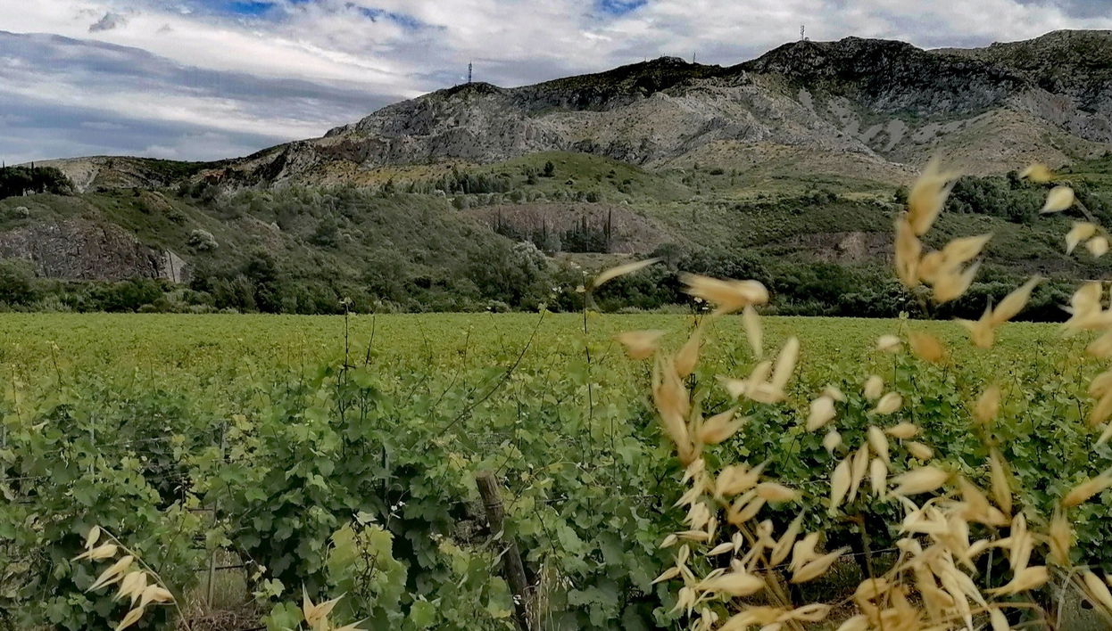 Tour in Thuir - Photo 1