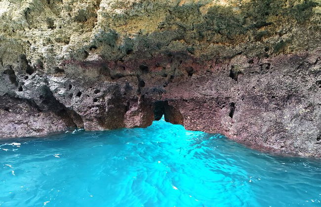 Private Boat Tour: Ponta da Piedade Grottos and Caves in Lagos - Photo 16