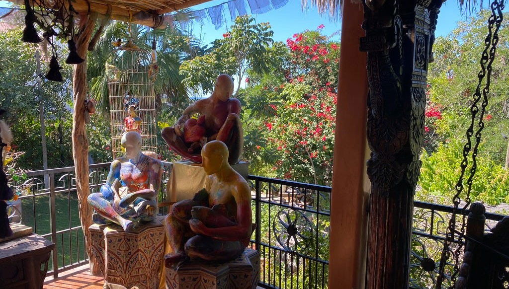 Excursion à Todos Santos - Photo 1