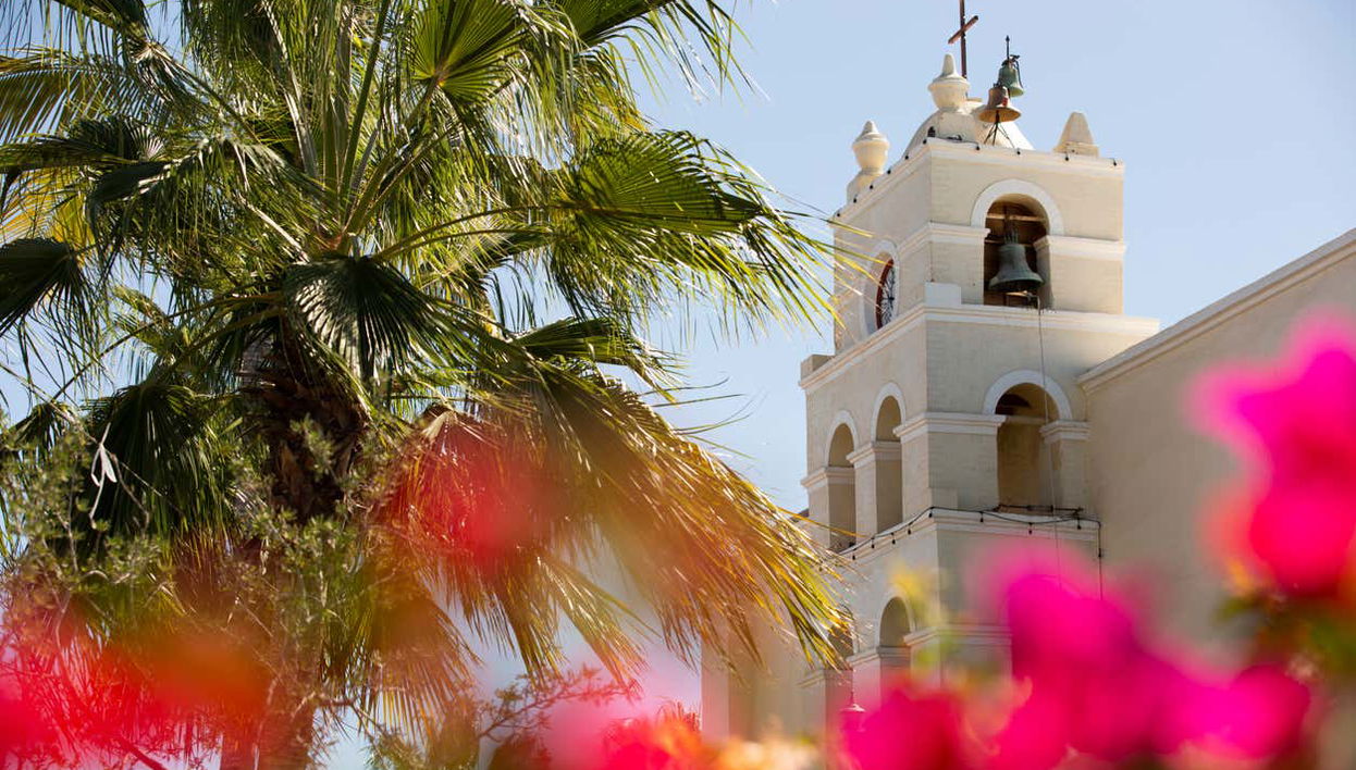 Day Trip to Todos Santos - Foto 1