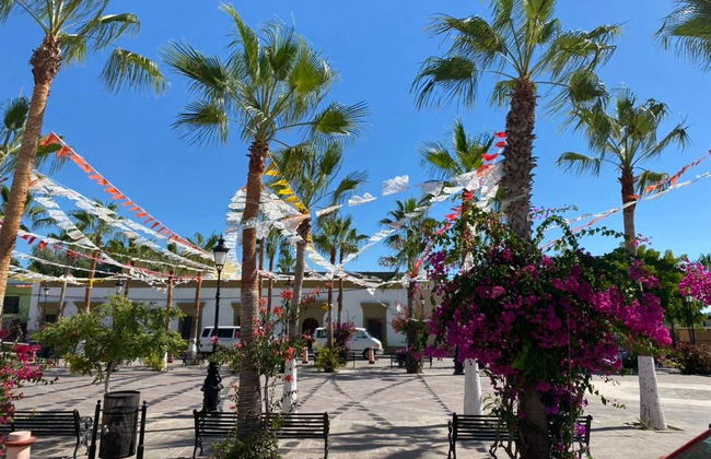 Escursione a Todos Santos - Foto 2