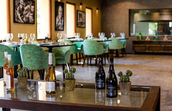 Tour de bodegas por Colonia Caroya con degustación de vinos - Foto 5