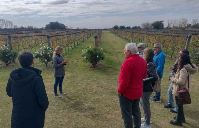Tour de bodegas por Colonia Caroya con degustación de vinos - Foto 3