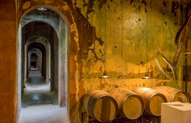 Tour de bodegas por Colonia Caroya con degustación de vinos - Foto 4