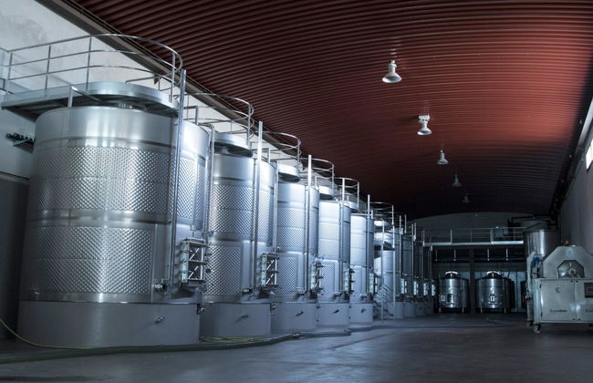Visita a las bodegas Tierras de Cebreros - Foto 4