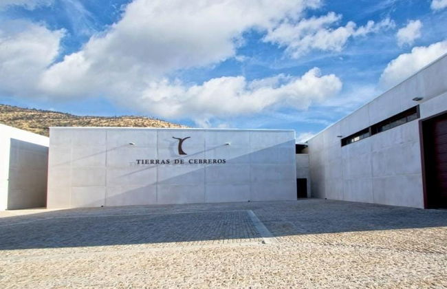 Visita a las bodegas Tierras de Cebreros - Foto 3