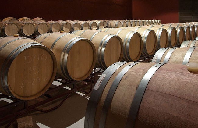 Visita a las bodegas Tierras de Cebreros - Foto 5