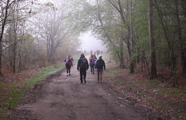 Camino de Santiago francés en 7 días - Foto 6